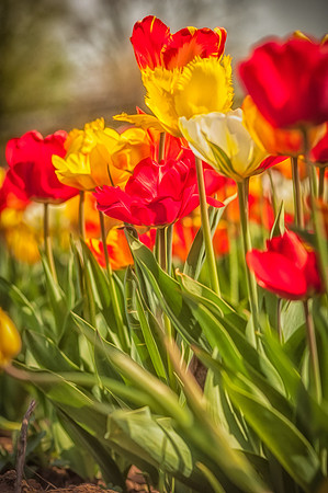 20140402_114006__DSC3183-1148
