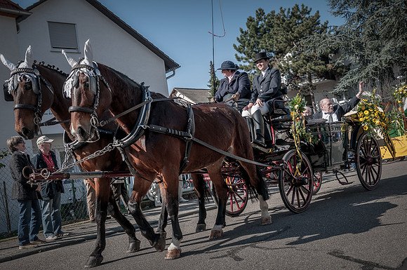 20140309_135330__DSC0623