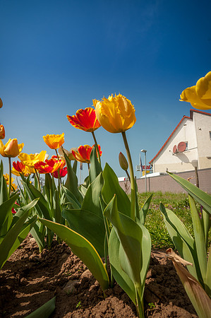 20140402_114333__DSC3220
