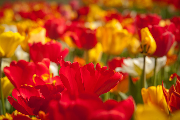 20140402_114130__DSC3190