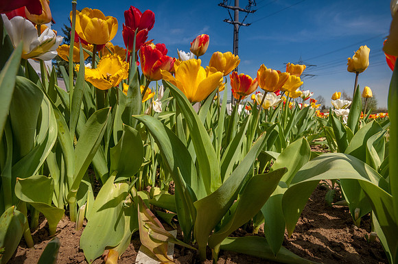 20140402_114752__DSC3265