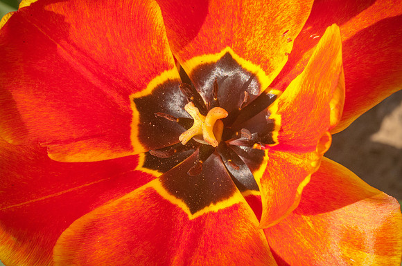 20140402_113626__DSC3145