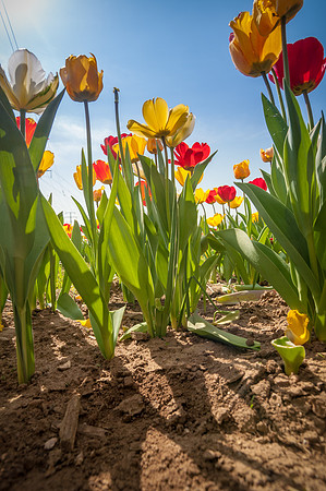 20140402_114317__DSC3215