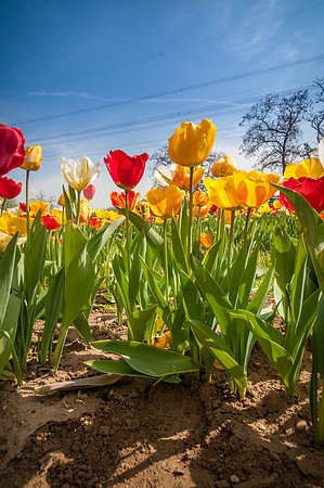 20140402_114313__DSC3212