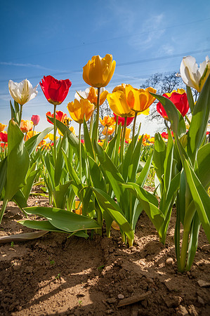 20140402_114308__DSC3207