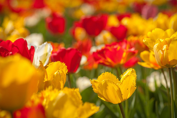 20140402_113914__DSC3177