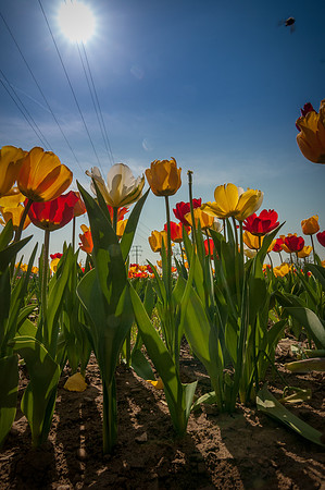 20140402_114330__DSC3218
