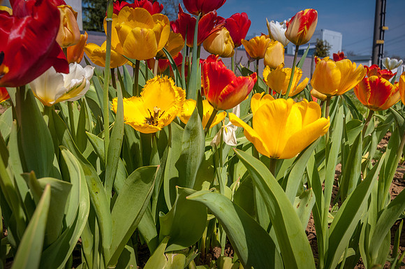 20140402_114819__DSC3267