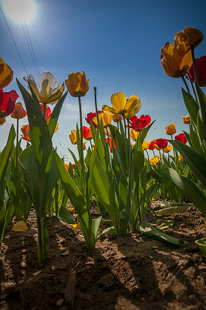 20140402_114318__DSC3216