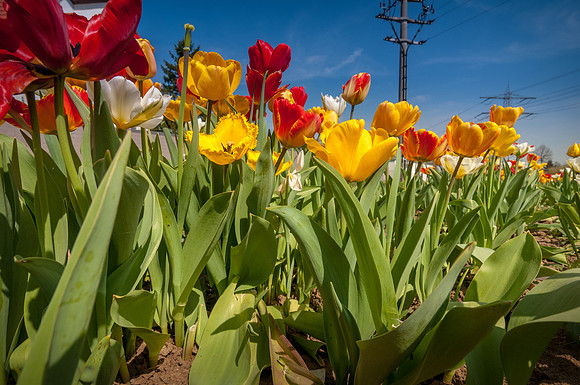 20140402_114753__DSC3266