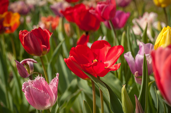 20140402_113505__DSC3133