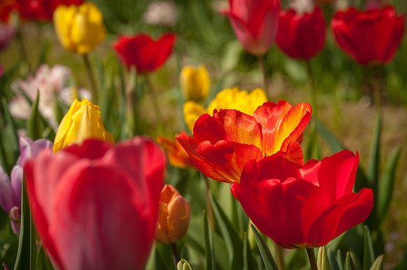 20140402_113503__DSC3132
