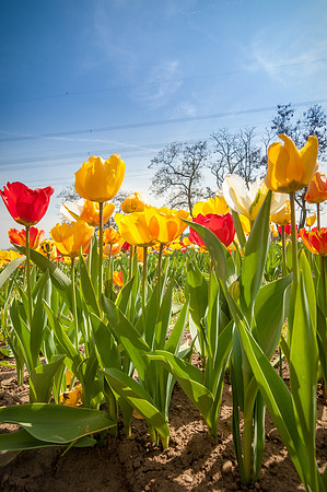 20140402_114312__DSC3211