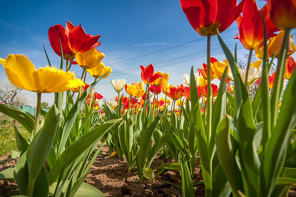 20140402_114240__DSC3197
