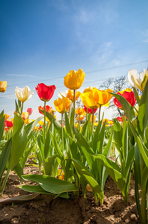 20140402_114305__DSC3205