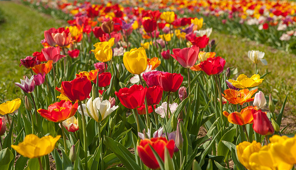 20140402_113435__DSC3129
