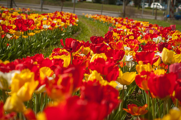 20140402_113743__DSC3161