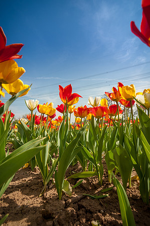 20140402_114221__DSC3194