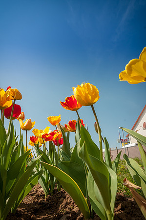 20140402_114335__DSC3221