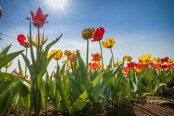 20140402_114410__DSC3232