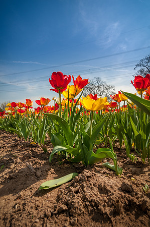20140402_114212__DSC3192