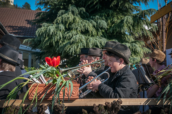 20140309_144525__DSC0908
