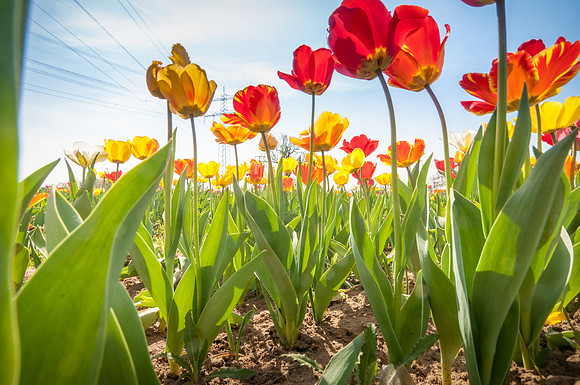 20140402_114456__DSC3238