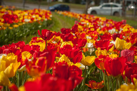 20140402_113746__DSC3162