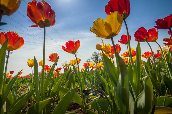 20140402_114510__DSC3241