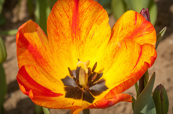 20140402_113635__DSC3146