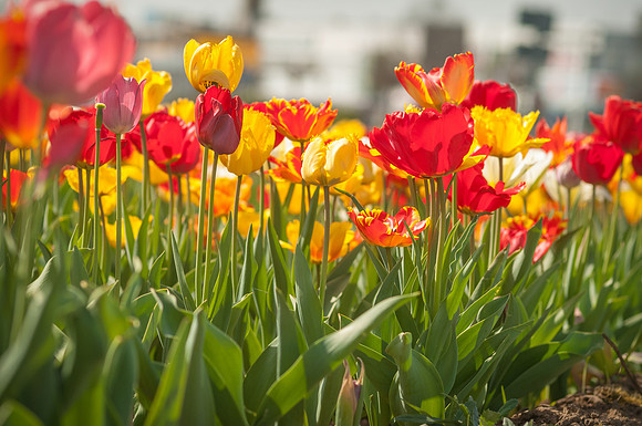 20140402_113938__DSC3181