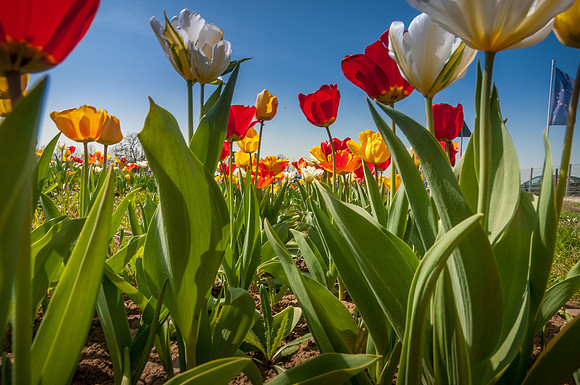 20140402_114553__DSC3252