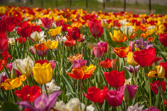 20140402_113710__DSC3156