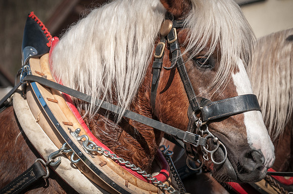 20140309_144040__DSC0868