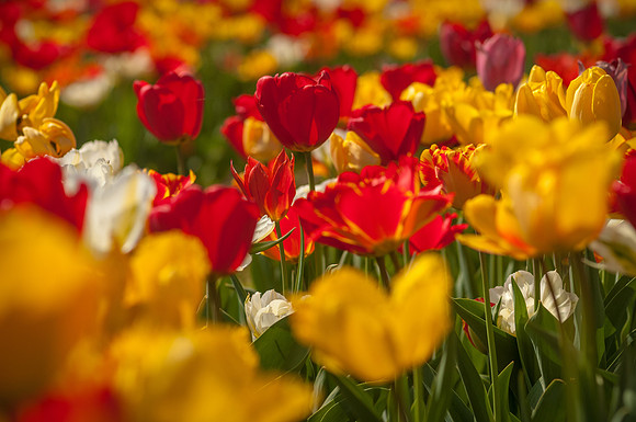 20140402_113915__DSC3178