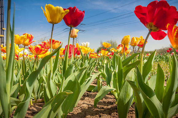 20140402_114627__DSC3254