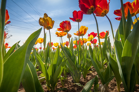 20140402_114503__DSC3239