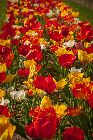 20140402_113756__DSC3164