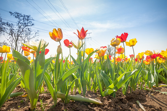 20140402_114425__DSC3233