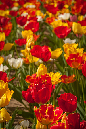 20140402_113811__DSC3169