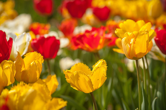 20140402_113909__DSC3175
