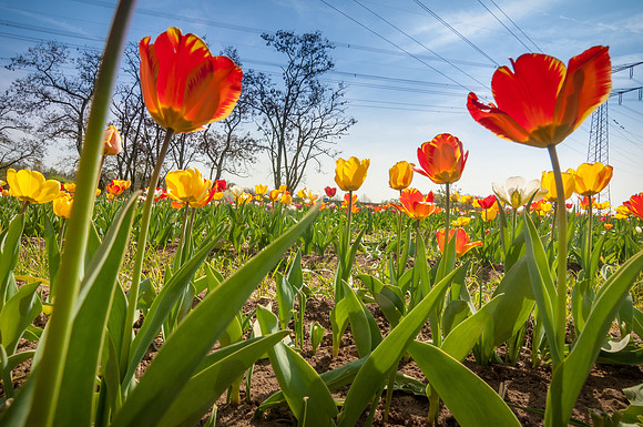 20140402_114537__DSC3248