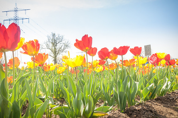 20140402_114446__DSC3236