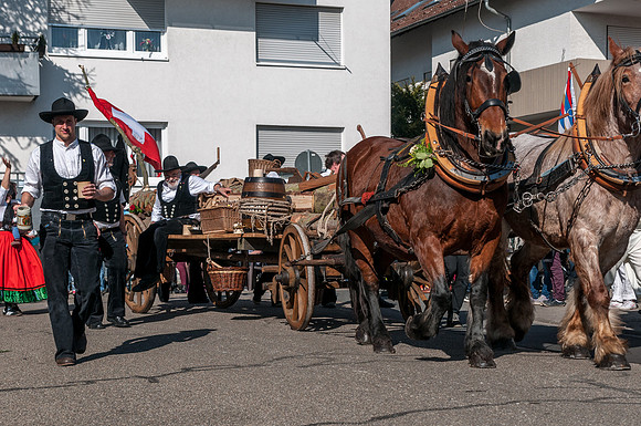 20140309_140946__DSC0752