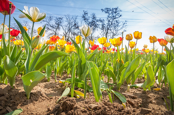 20140402_114348__DSC3224