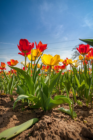 20140402_114215__DSC3193