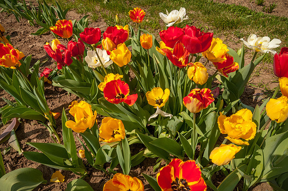 20140402_114725__DSC3260