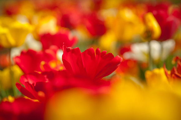 20140402_114120__DSC3189