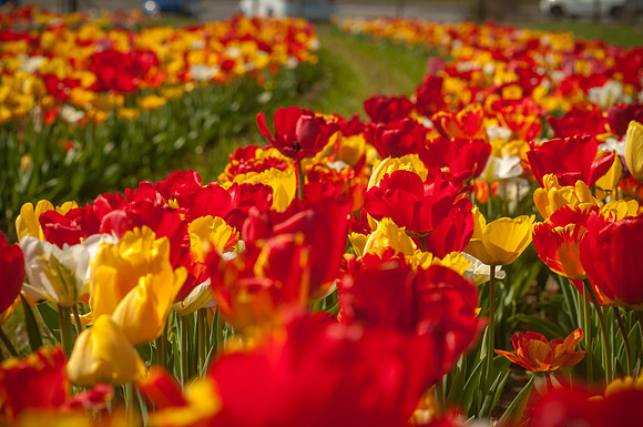 20140402_113748__DSC3163