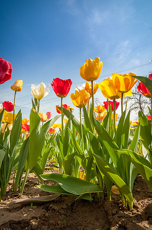 20140402_114254__DSC3202